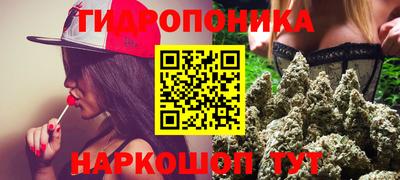 молекула духа Бийск